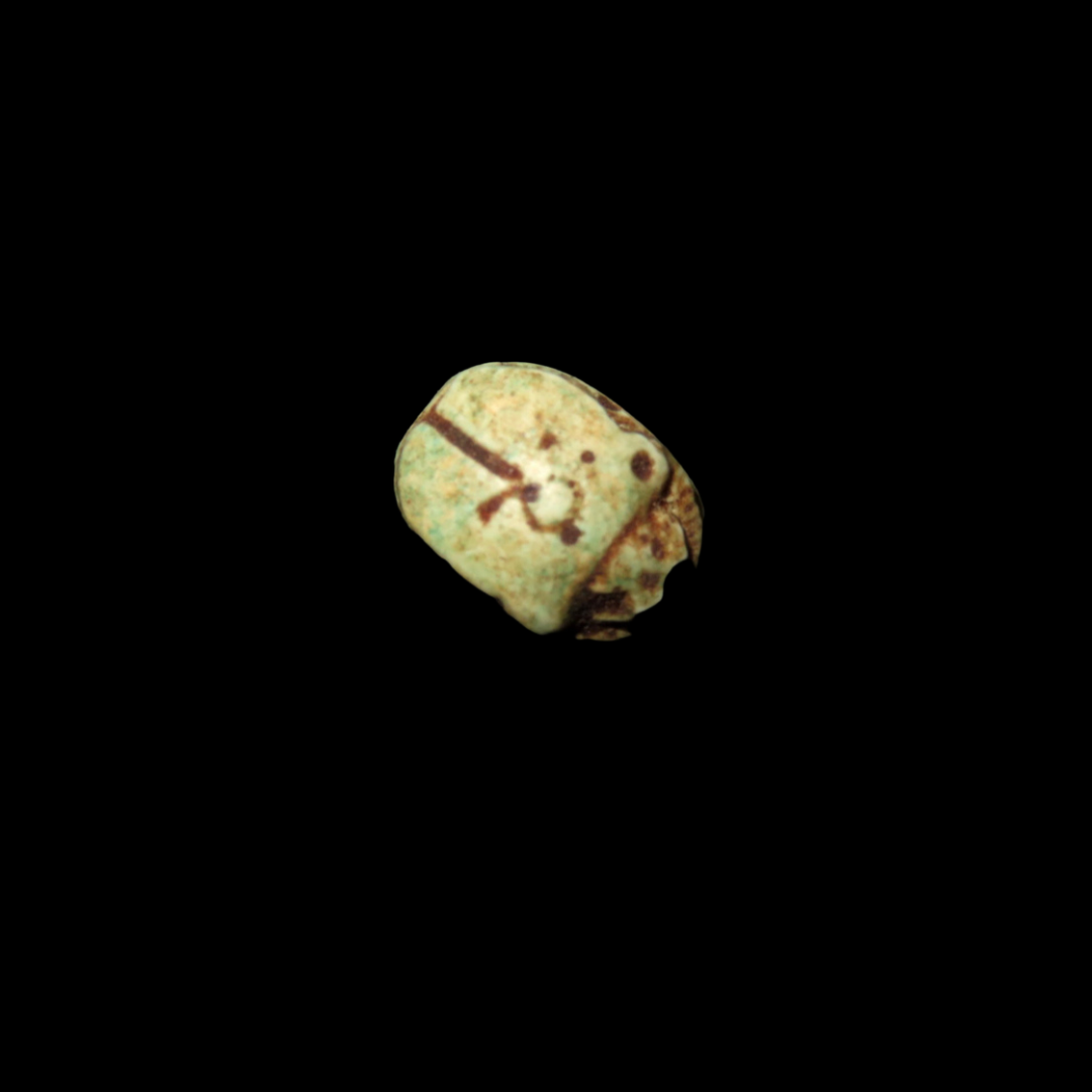 Scarab with "Ankh" symbol