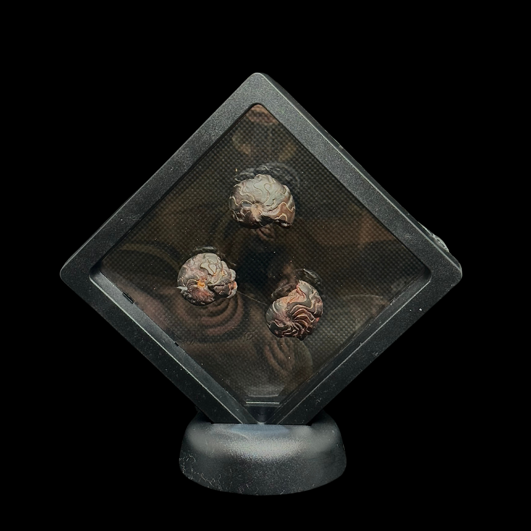 Vitrina flotante 9x9 cm