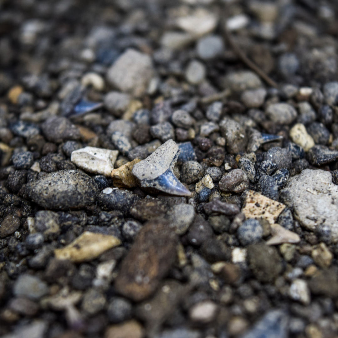 1 kg Grava de Carolina del Norte