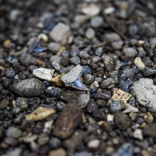 1 kg Grava de Carolina del Norte