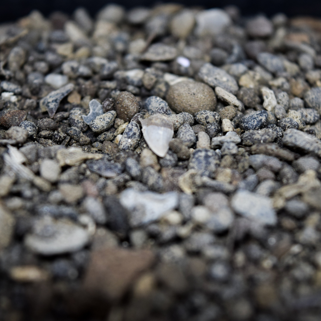 1 kg Grava de Carolina del Norte