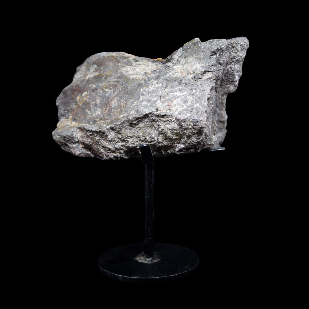 Fragmento de hueso (extremidad) de Camarasaurus