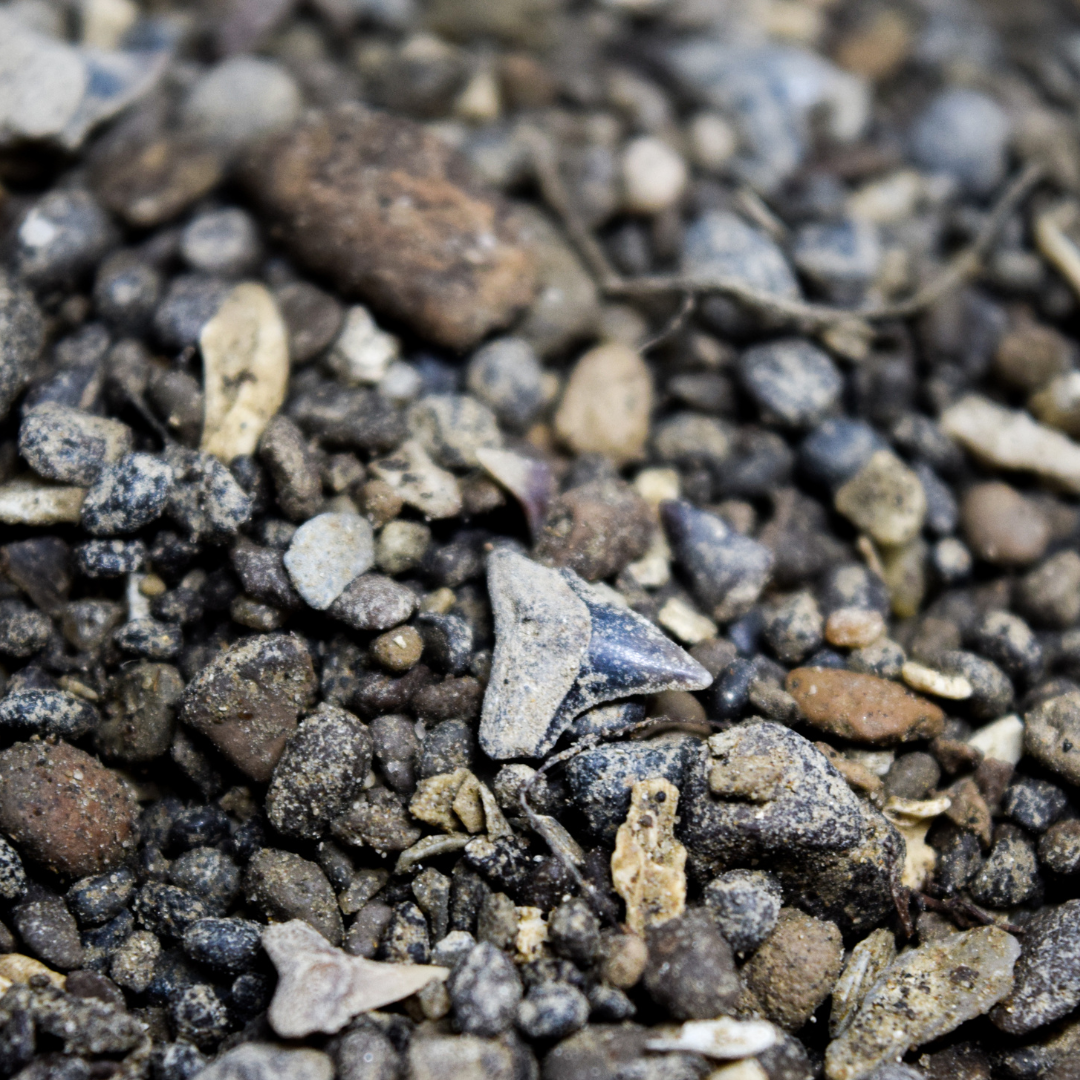 1 kg Grava de Carolina del Norte