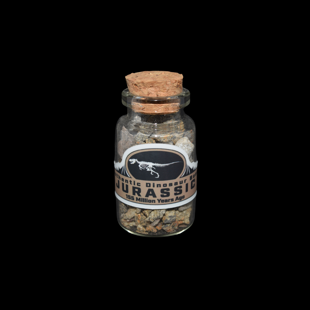 Frasco con Fragmentos de Hueso de Dinosaurio (Jurásico)