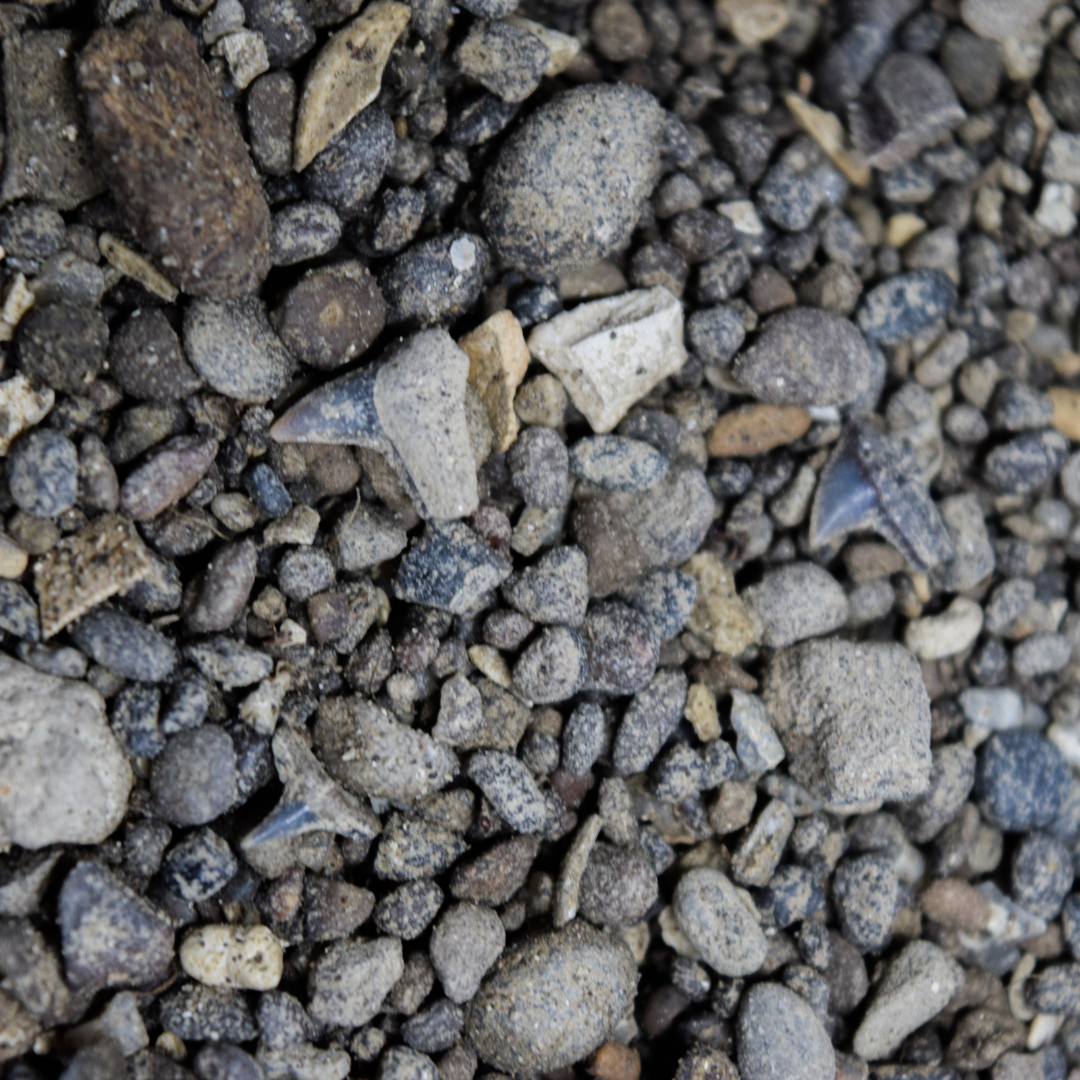 1 kg Grava de Carolina del Norte