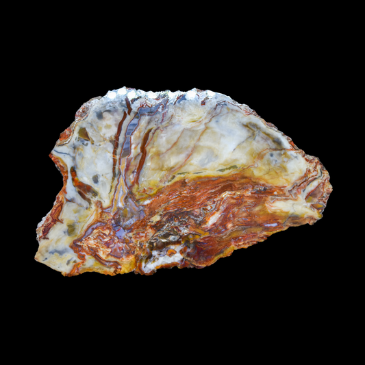 Laja de Madera Petrificada