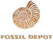 Fossil Depot – Inicio