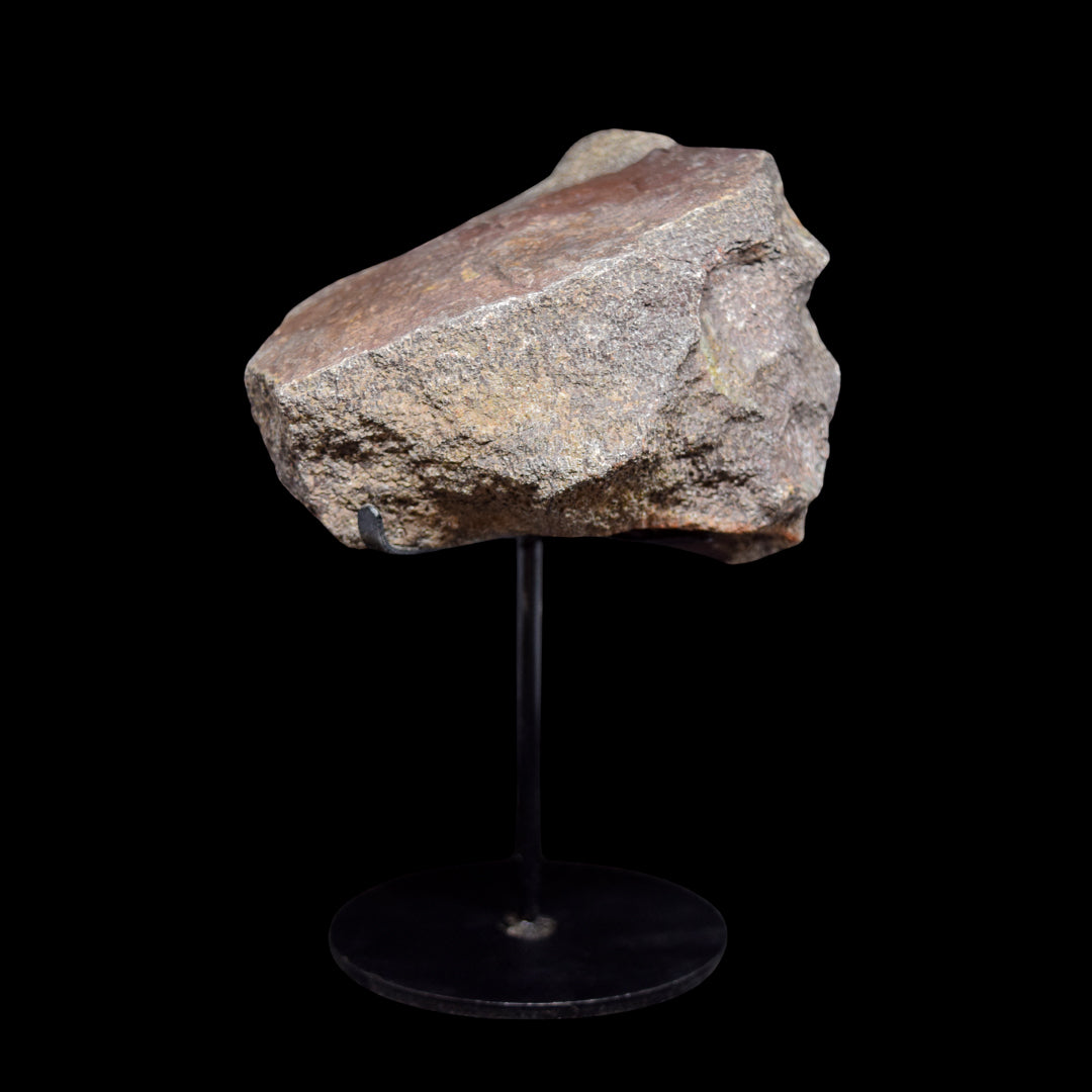 Fragmento de hueso (vertebra) de Camarasaurus