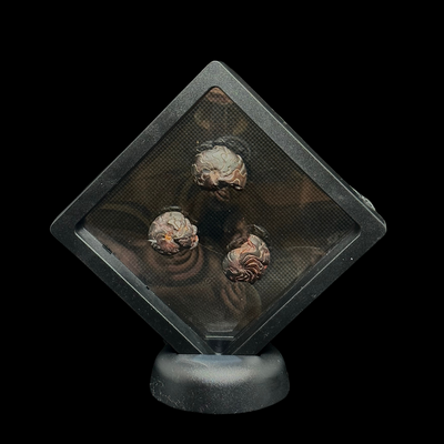 Vitrina flotante 9x9 cm